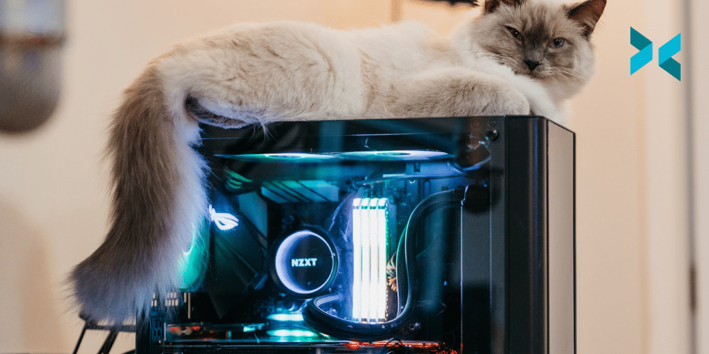 The Cheapest Live Streaming PC you can buy in 2021